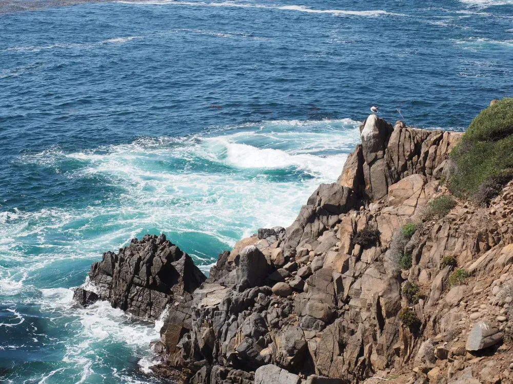 Ensenada Things to Do